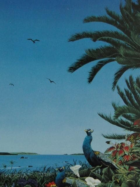 北久美子、夢奏植物園、希少画な集画、状態良好、新品高級額・額装付