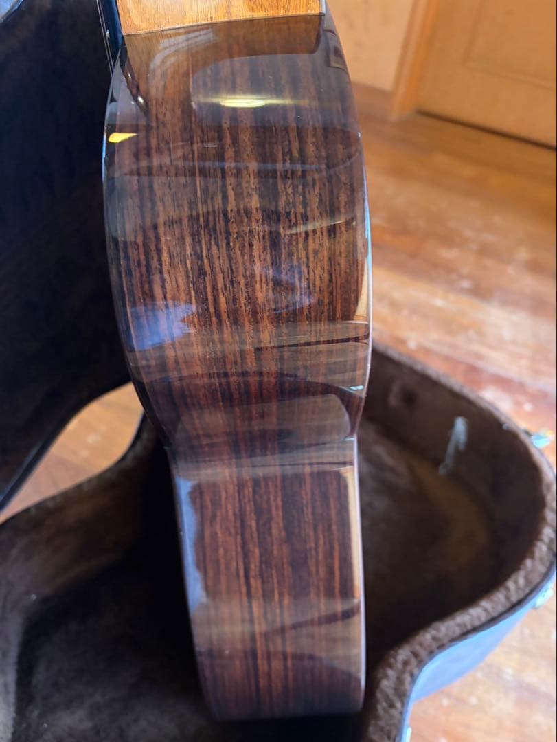 激レア アコギ 限定 ピックアップ付き エレアコ アストリアス 50周年記念