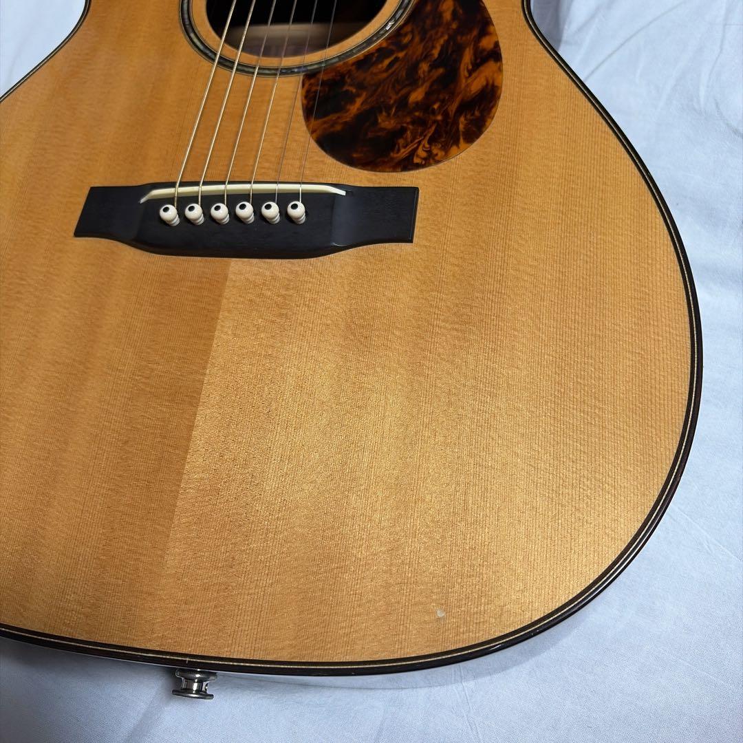 激レア アコギ 限定 ピックアップ付き エレアコ アストリアス 50周年記念