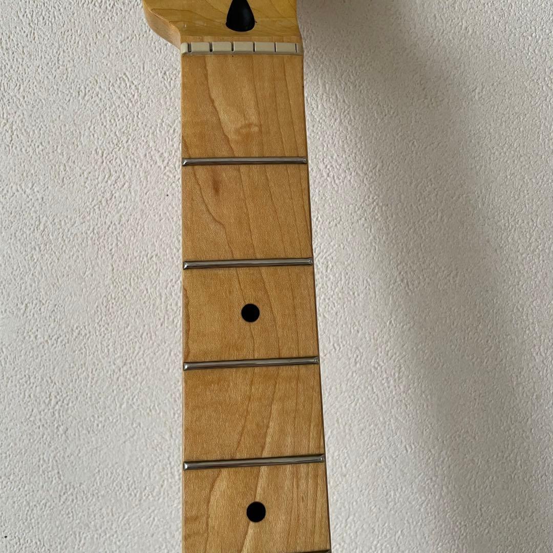 Squier シンライン Classic Vive '70s