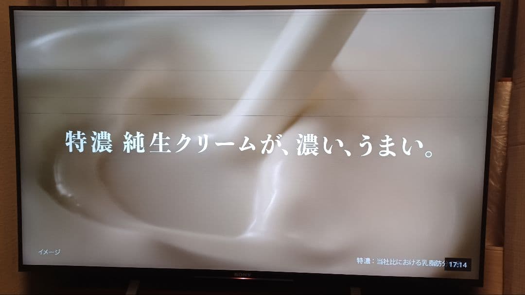 SONY 液晶テレビ Android TV KJ-49X8300　ジャンク扱い