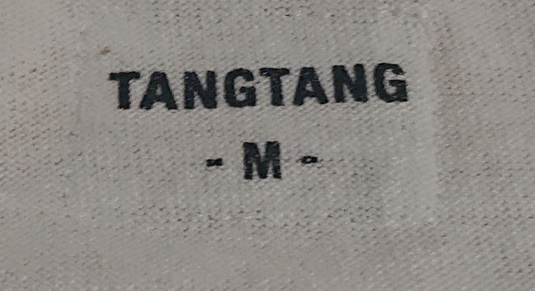 曽我部恵一 TANGTANG Tシャツ