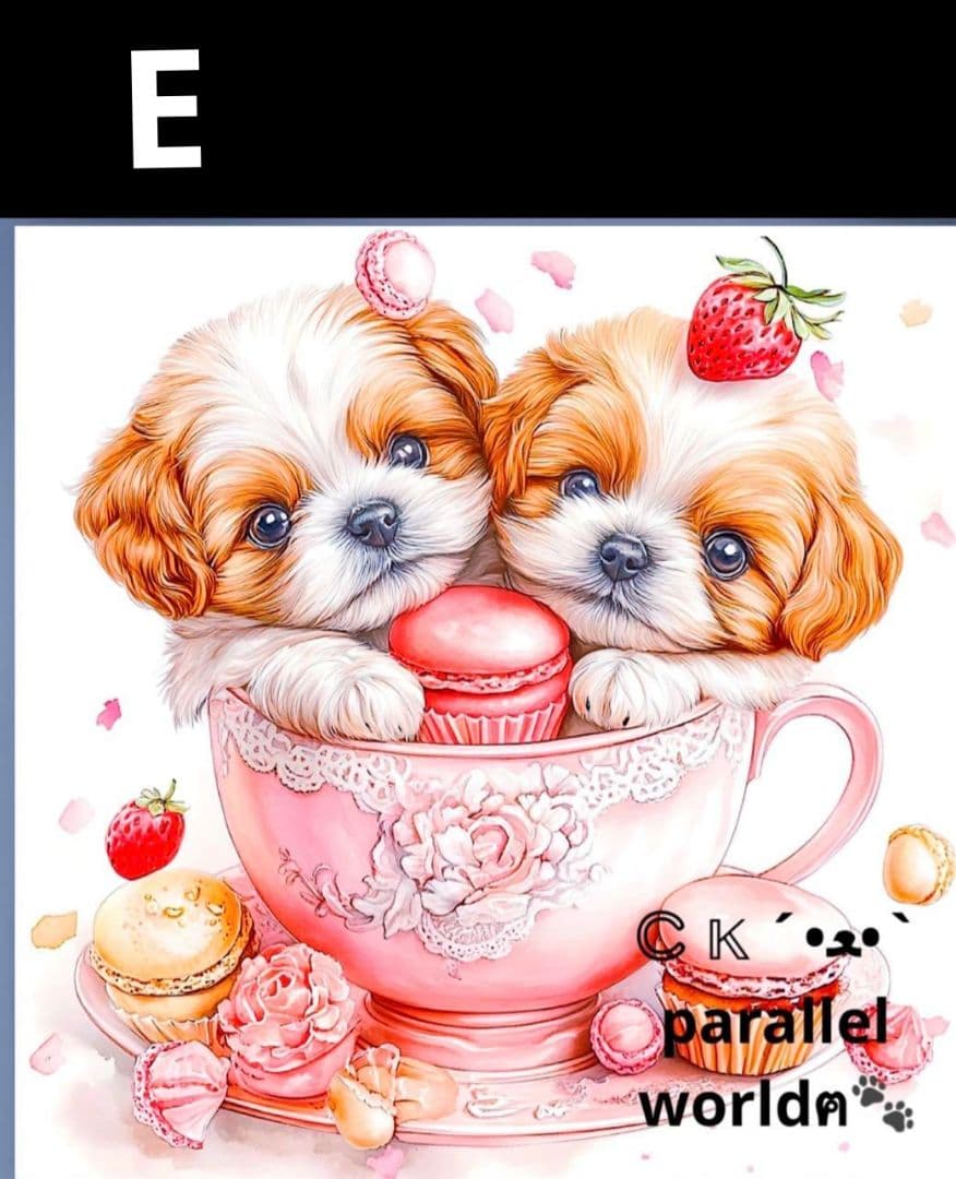 オーダー受付　シーズー　ご予約ページ　8/9