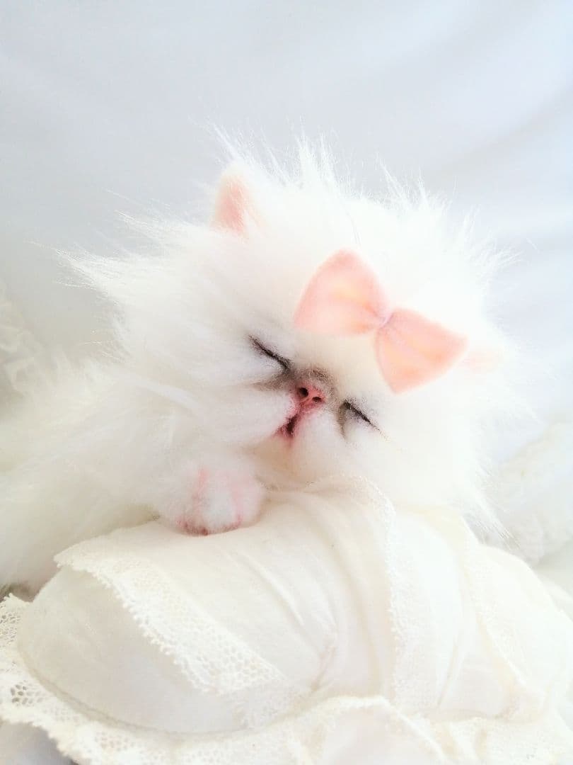 Milky様ご予約❤おねむちゃん♡エキゾチックベビー♡子猫ちゃん♡アートドール♡