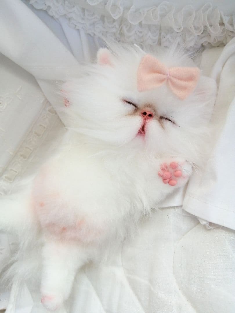 Milky様ご予約❤おねむちゃん♡エキゾチックベビー♡子猫ちゃん♡アートドール♡