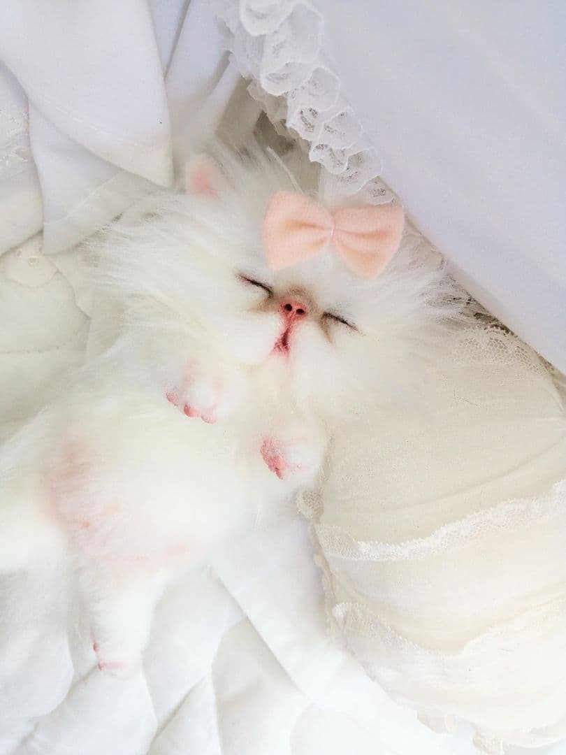 Milky様ご予約❤おねむちゃん♡エキゾチックベビー♡子猫ちゃん♡アートドール♡