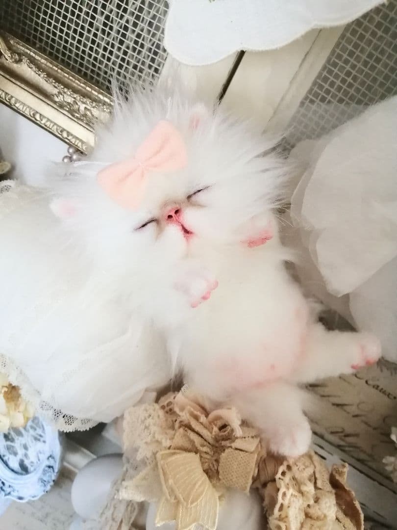 Milky様ご予約❤おねむちゃん♡エキゾチックベビー♡子猫ちゃん♡アートドール♡