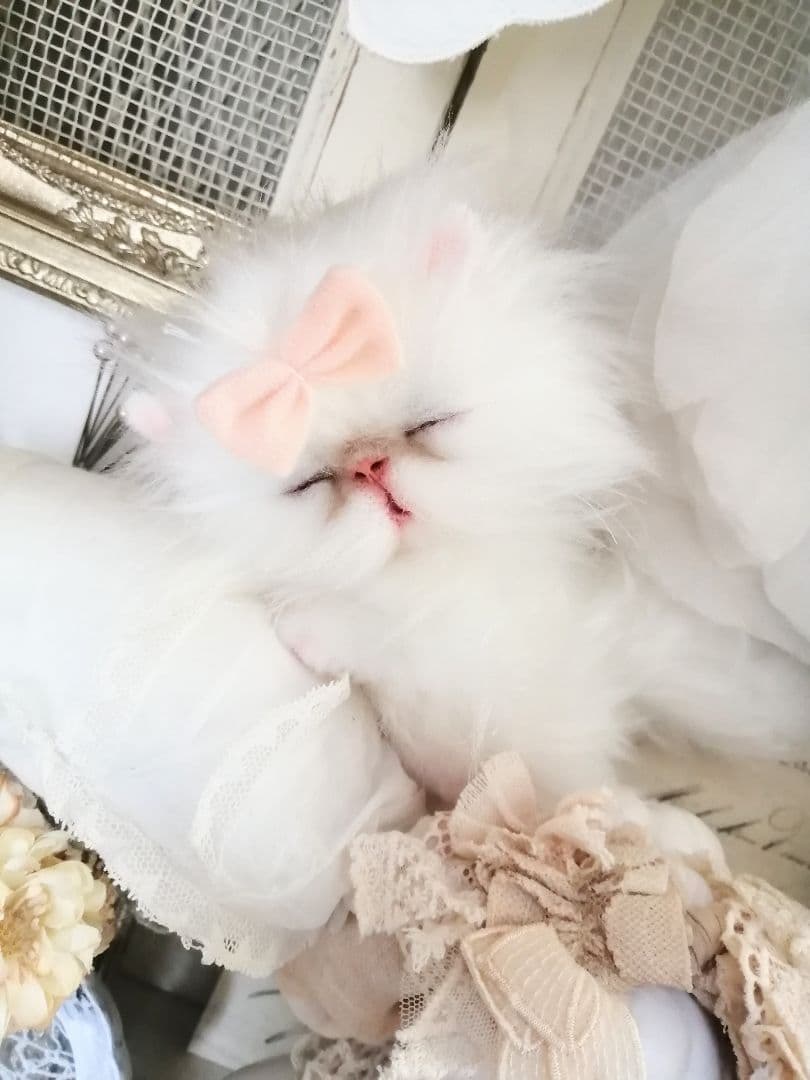 Milky様ご予約❤おねむちゃん♡エキゾチックベビー♡子猫ちゃん♡アートドール♡