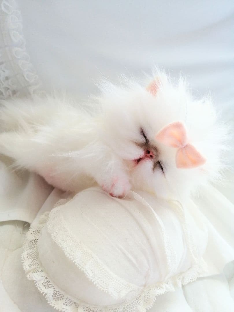 Milky様ご予約❤おねむちゃん♡エキゾチックベビー♡子猫ちゃん♡アートドール♡