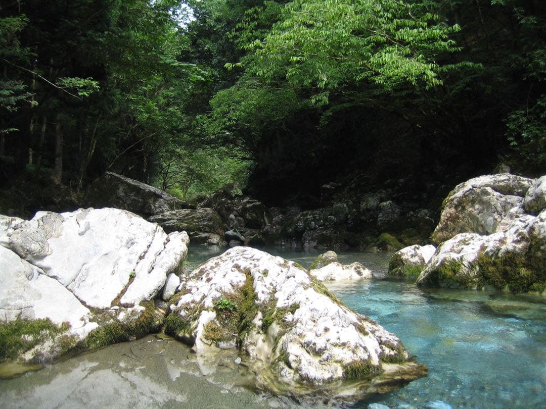 Canon IXY DIGITAL 50 コンパクトデジタルカメラ シルバー