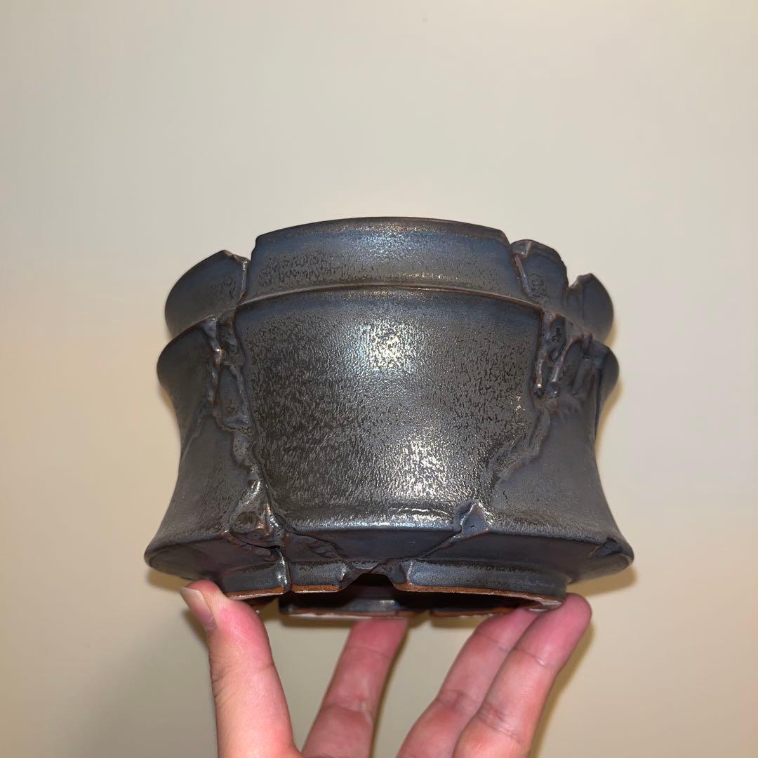 XL 植木鉢 作家鉢 グラキリス パキプス 烏羽玉 恩塚ランポー 牡丹 黒王丸