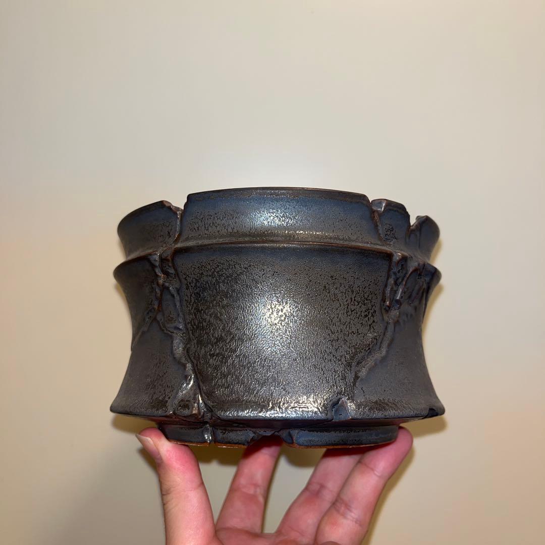 XL 植木鉢 作家鉢 グラキリス パキプス 烏羽玉 恩塚ランポー 牡丹 黒王丸