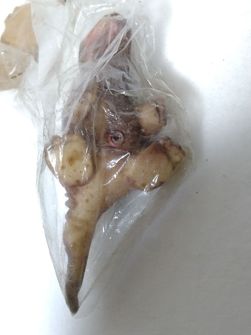 当時物 無版権 怪獣ミニソフビ 未開封品