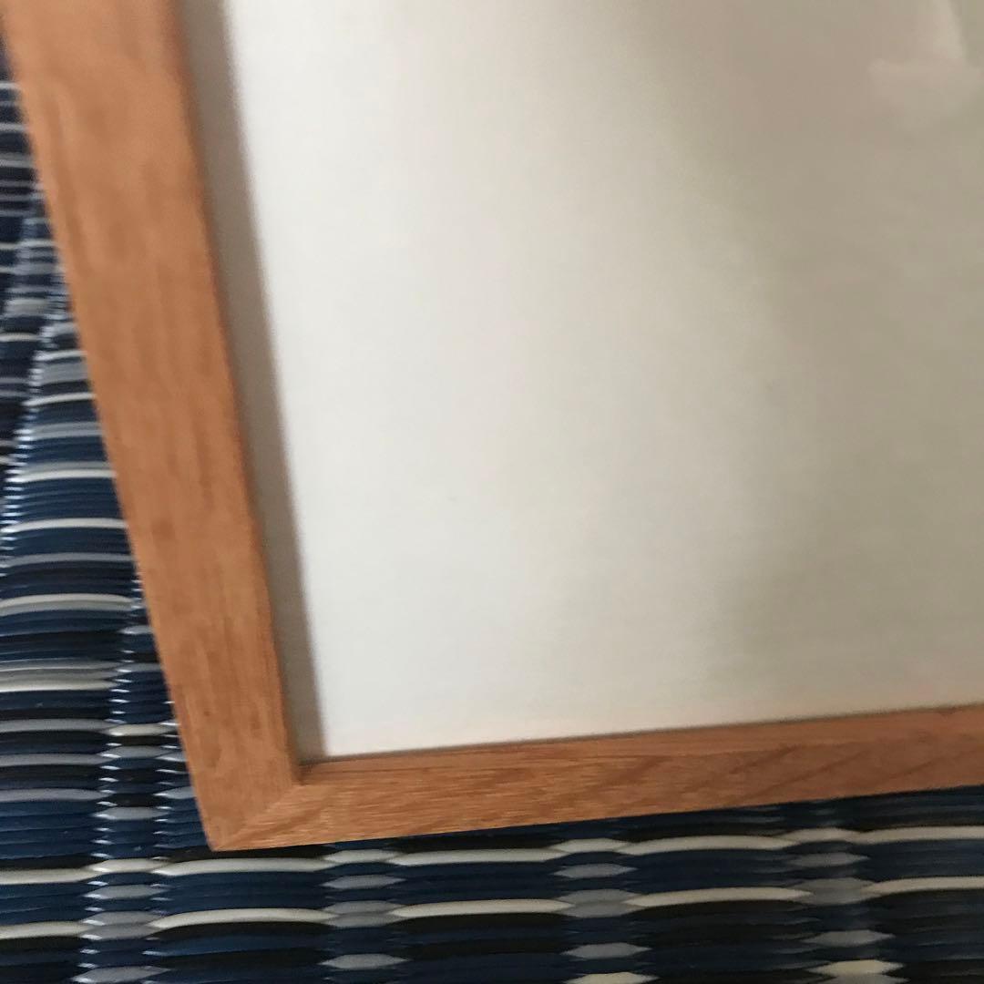 貴重　北海道主要樹木図譜　リトグラフ　額装品