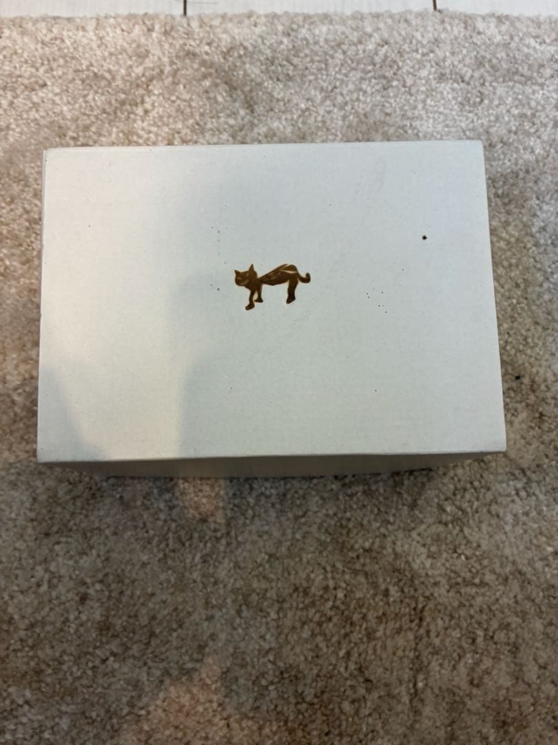 ギター Roshi Pedals Plexition