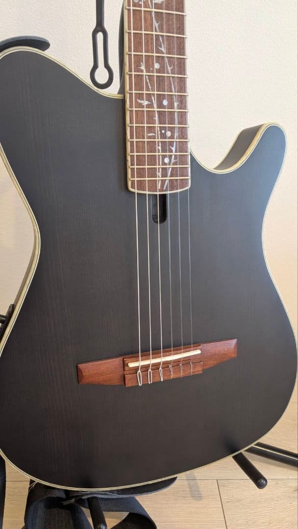 Ibanez TOD10N エレガット ストラップ付き