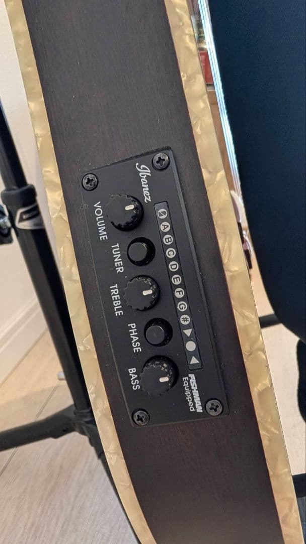 Ibanez TOD10N エレガット ストラップ付き