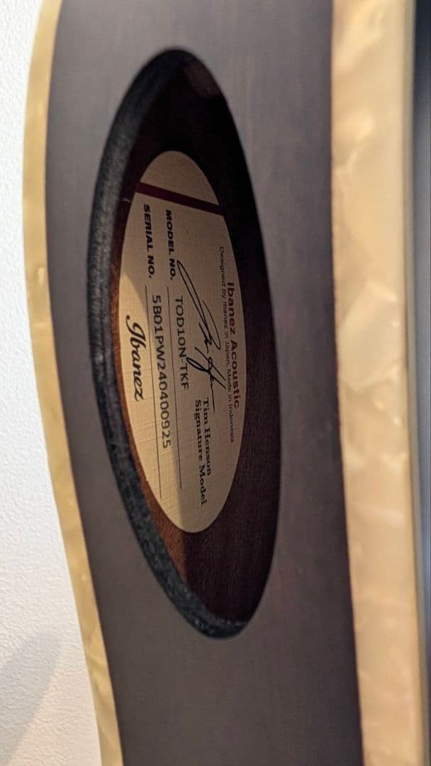 Ibanez TOD10N エレガット ストラップ付き