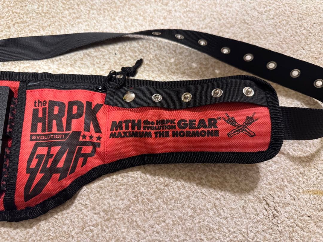 マキシマム ザ ホルモン　エボリューションギア