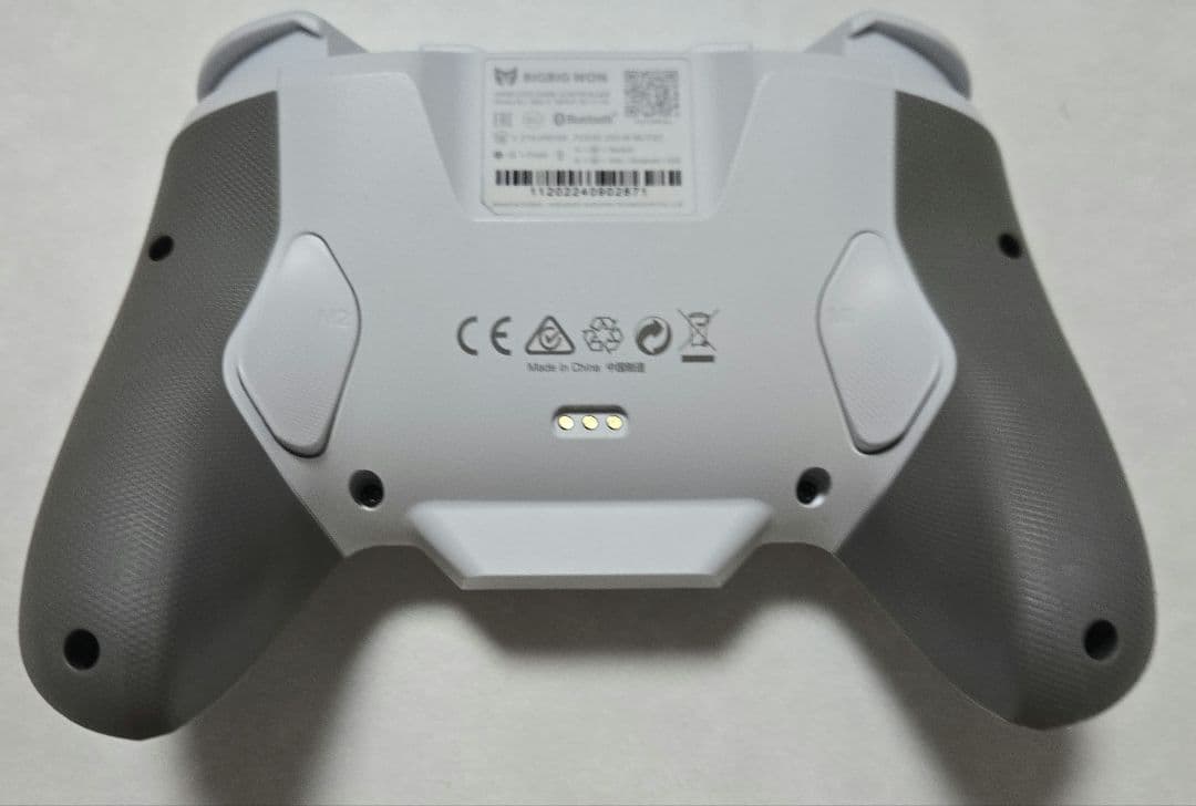 BIGBIG WON BLITZ2 TMR コントローラー 無線/有線