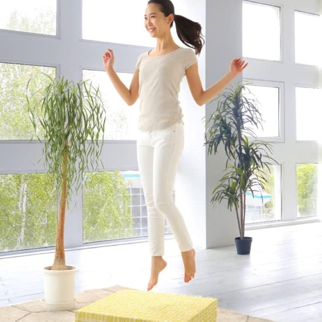 ◎美品◎ 正規品　TOVOCCA トボッカ　トランポリンソファ　グレー