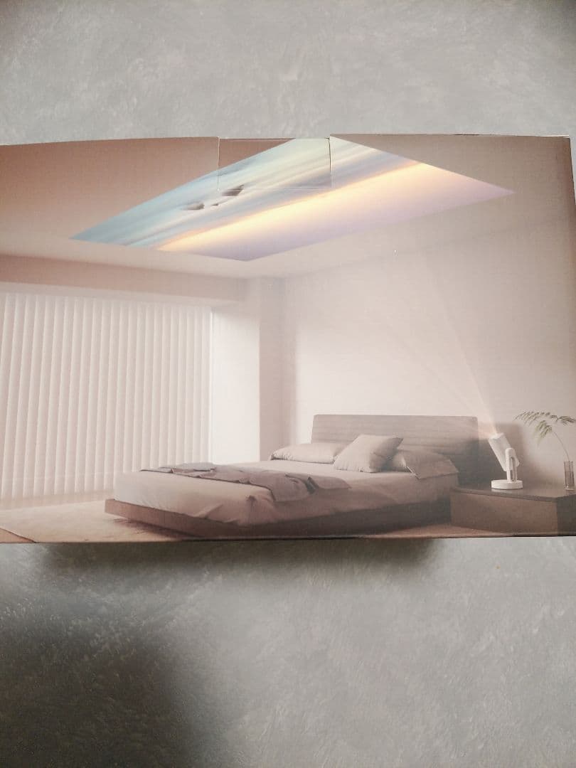 ETOE Starfish Projector 本体