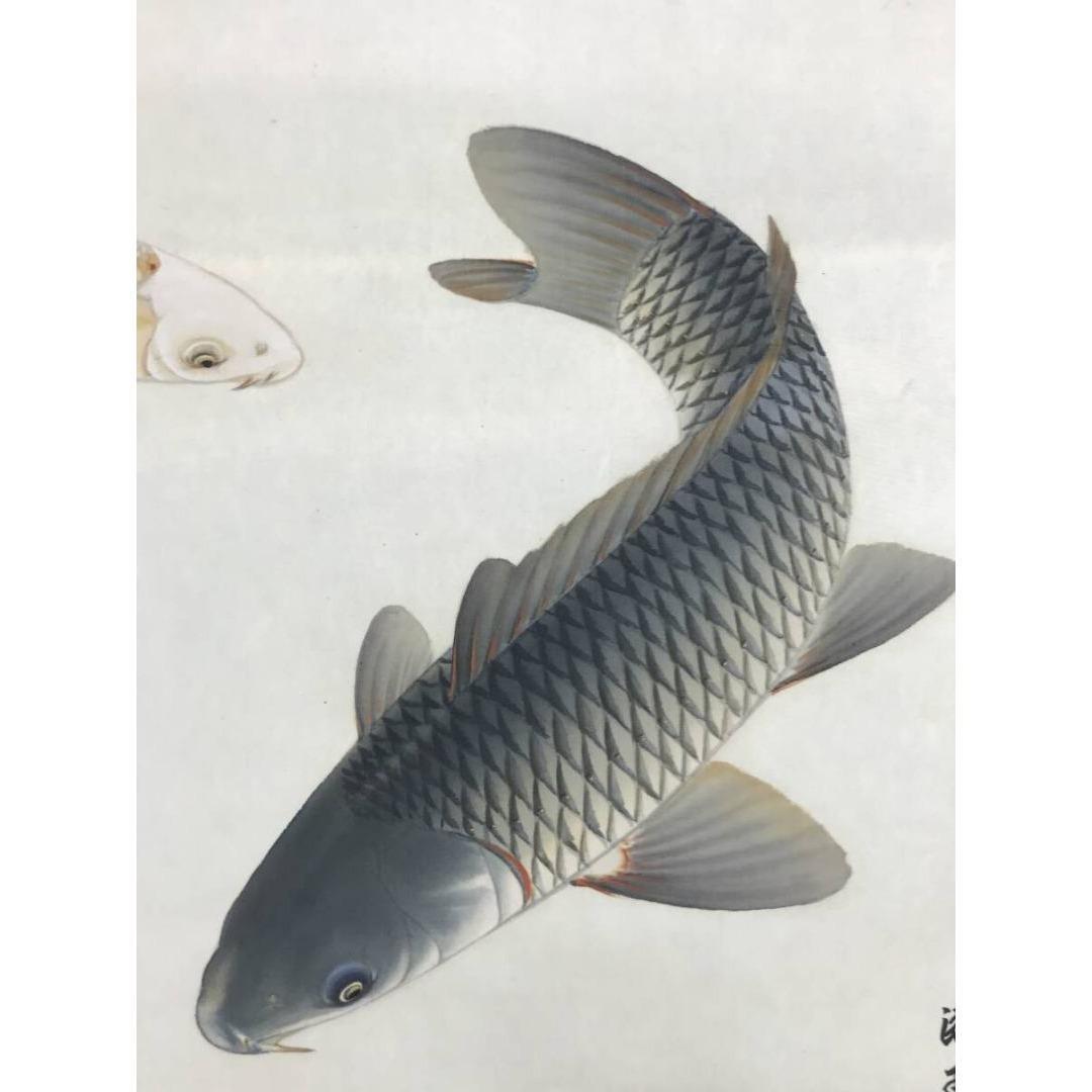 真作/上田陽凱/上田陽愷/朝陽遊鯉/游鯉/横物/花鳥図/掛軸☆宝船☆AK-882