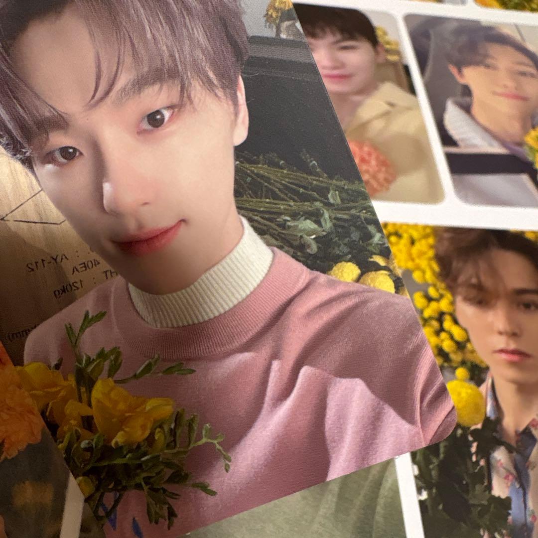 your choice セブチ コンプリート トレカ