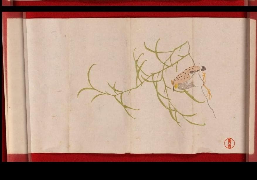 ◆『松尾芭蕉 消息文 菅沼曲翠宛 』 釈文付◆検）俵屋宗達 千利休 向井去来