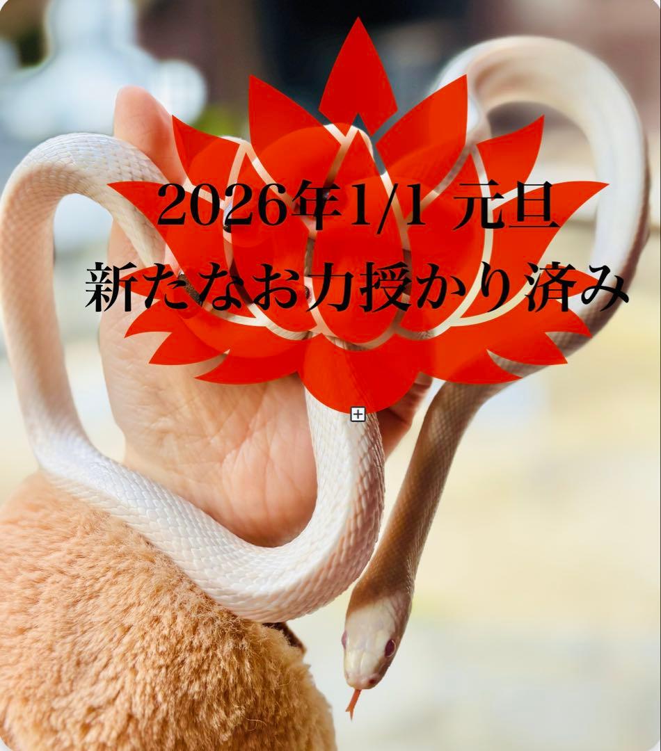 感謝価格♥龍神様の宿る濃虹入り♥幸福を呼び持ち主を虹色に輝かせるアイリスクォーツ