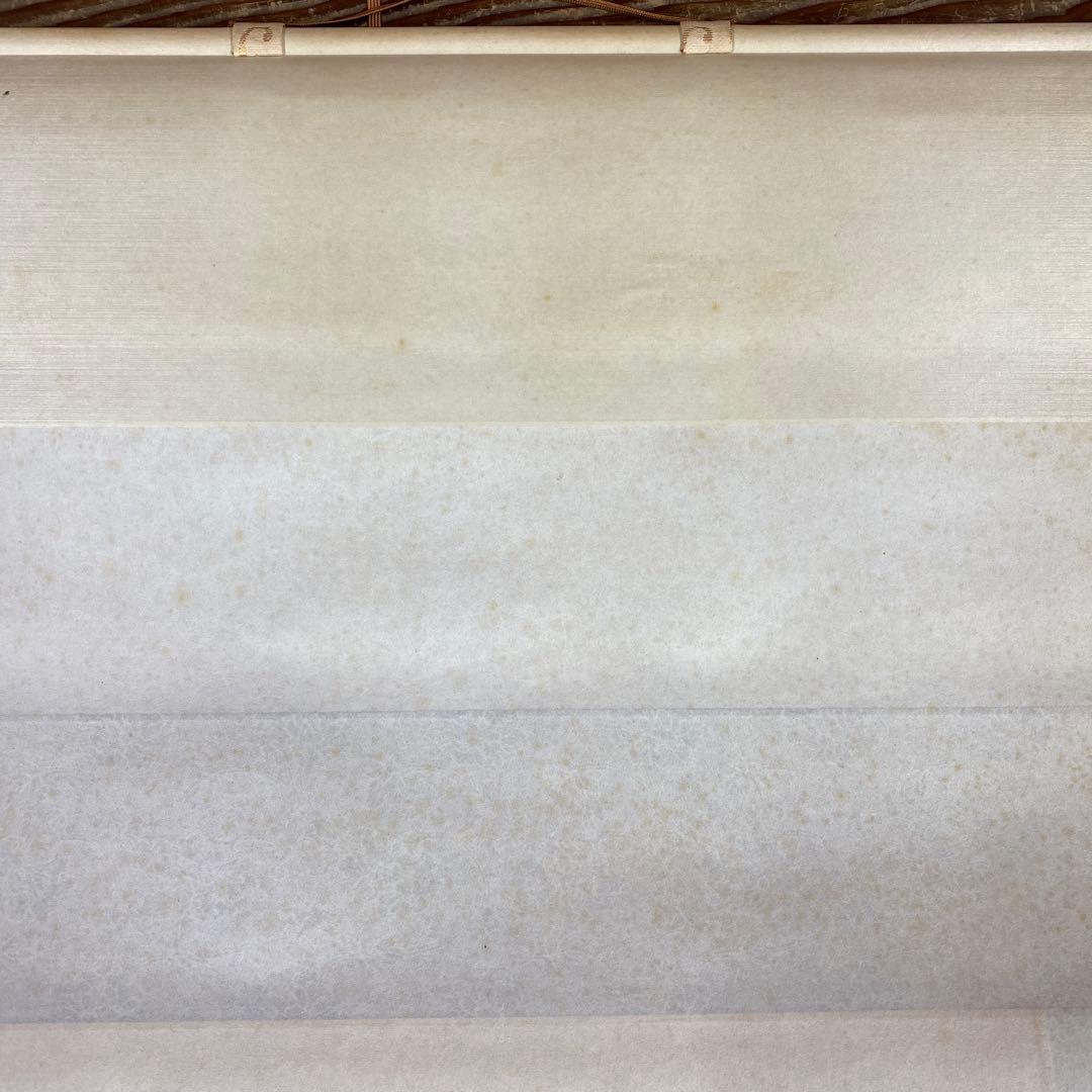 美品 掛け軸 国井幸雪作 金地 遊鯉図 共箱 二重箱 縁起物 保証書付き