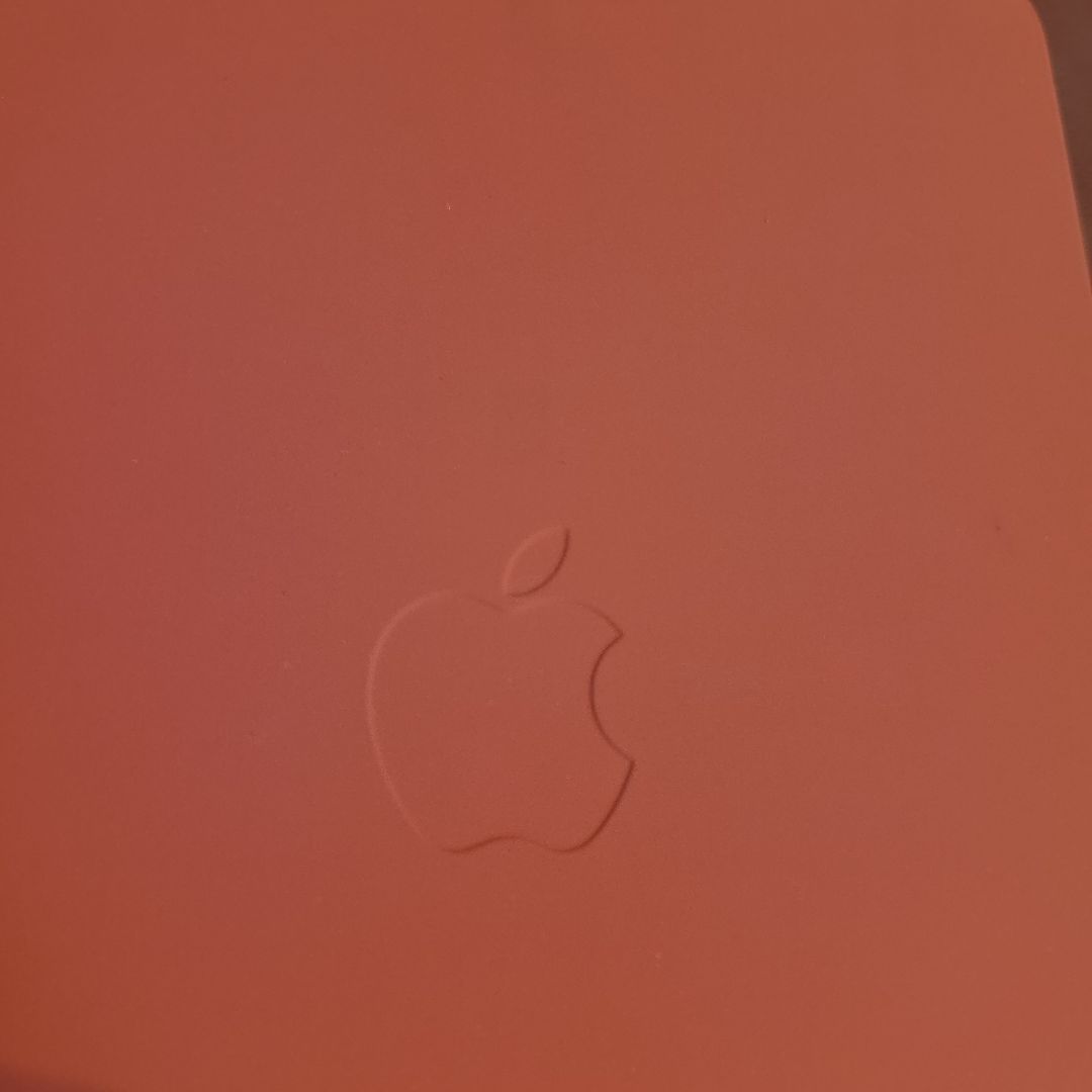 オレンジ シリコン iPadAir(第５世代)ケース Appleロゴ入り