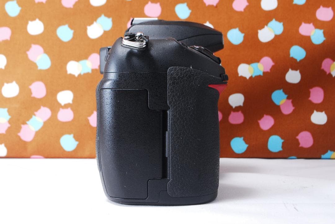 ✨美品✨望遠レンズ付き✨Nikon D200 レンズセット