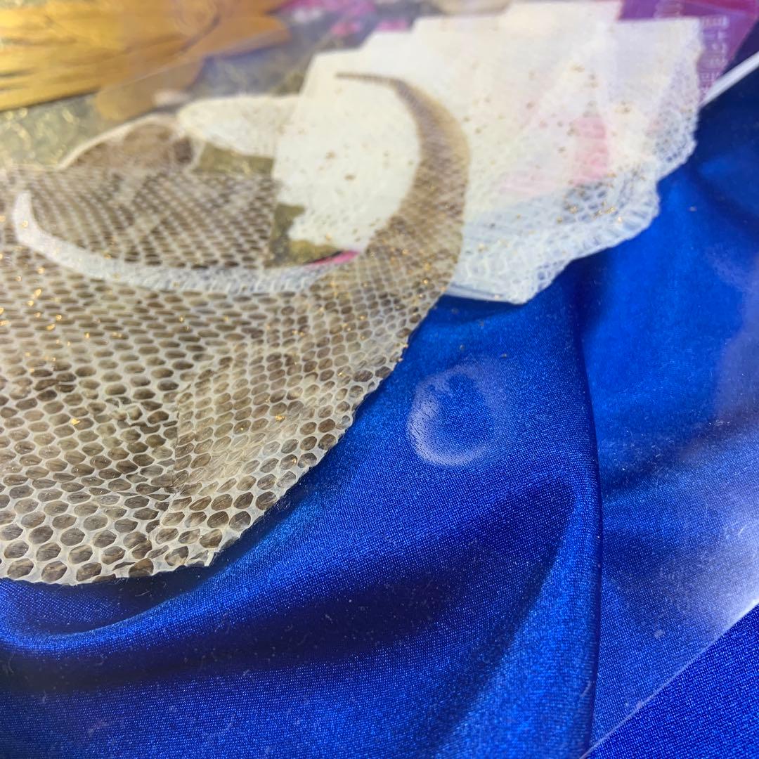 Y 白蛇 マムシ 切らず一匹 額 お守り 縁起物 金 友禅 和紙 虹の衣