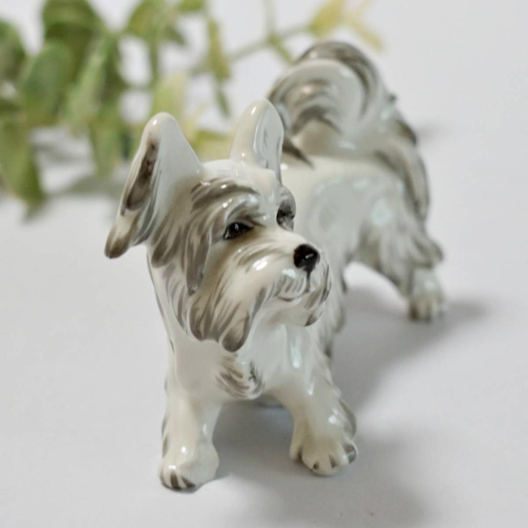 希少 訳有 アウガルテン オーストリア ウィーン 犬 テリア