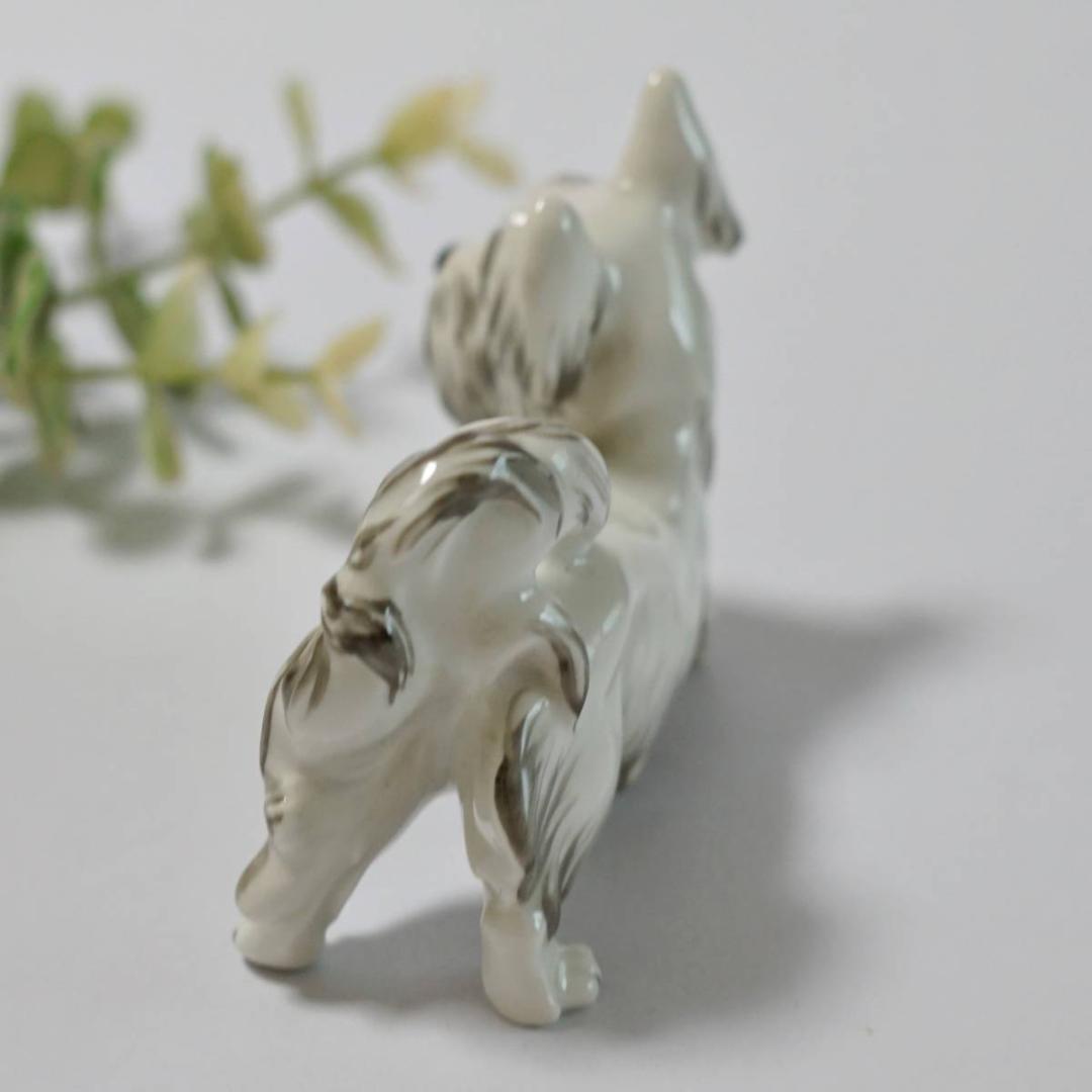希少 訳有 アウガルテン オーストリア ウィーン 犬 テリア