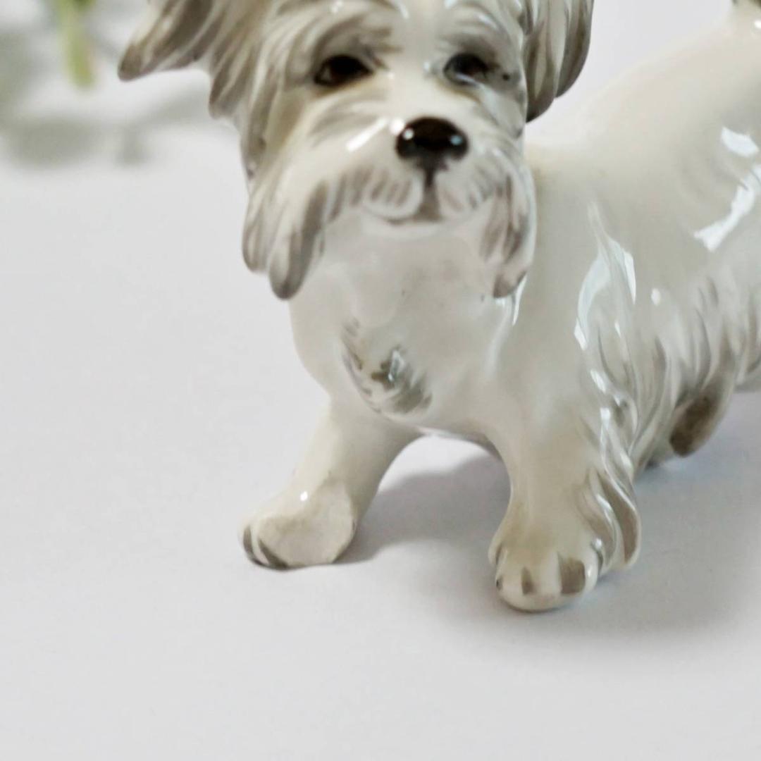 希少 訳有 アウガルテン オーストリア ウィーン 犬 テリア