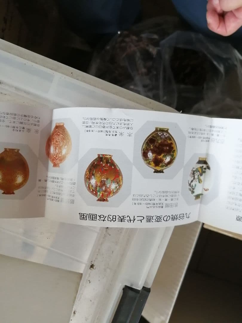 ‼️高級品‼️九谷焼　コーヒーカップ　秋草　ペア