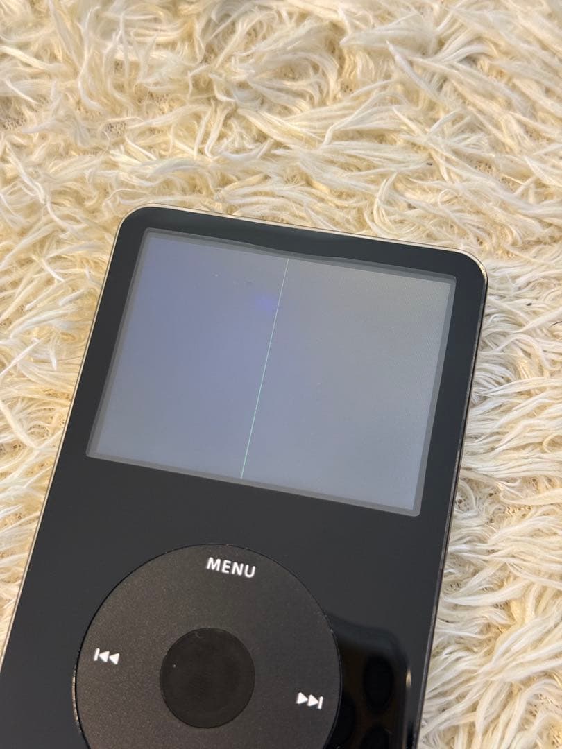 Apple iPod Video 30GB 第5世代 外装交換済み