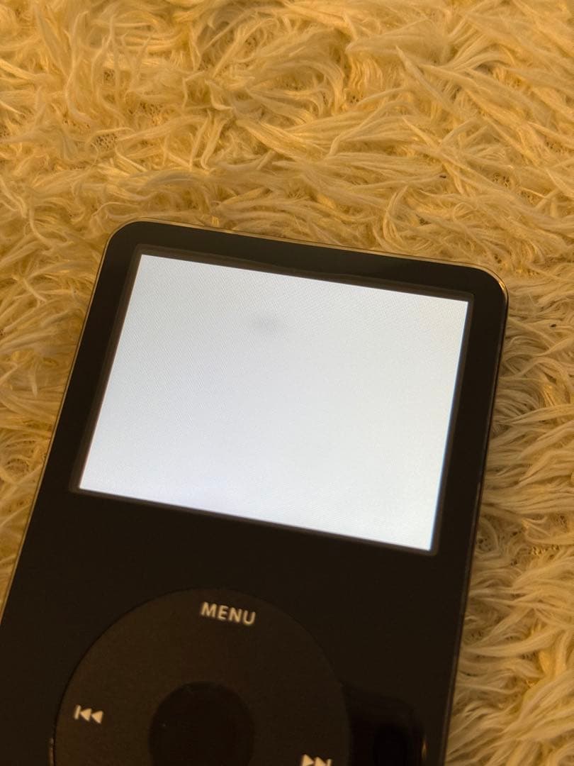 Apple iPod Video 30GB 第5世代 外装交換済み