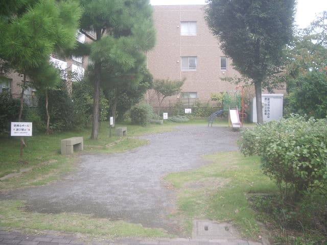 実写⭕️【動作確認済】ペンタックス　PENTAX Optio S50