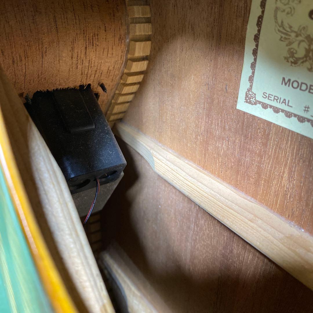 【現状品】Pro Martin EA500W VS アコースティックギター