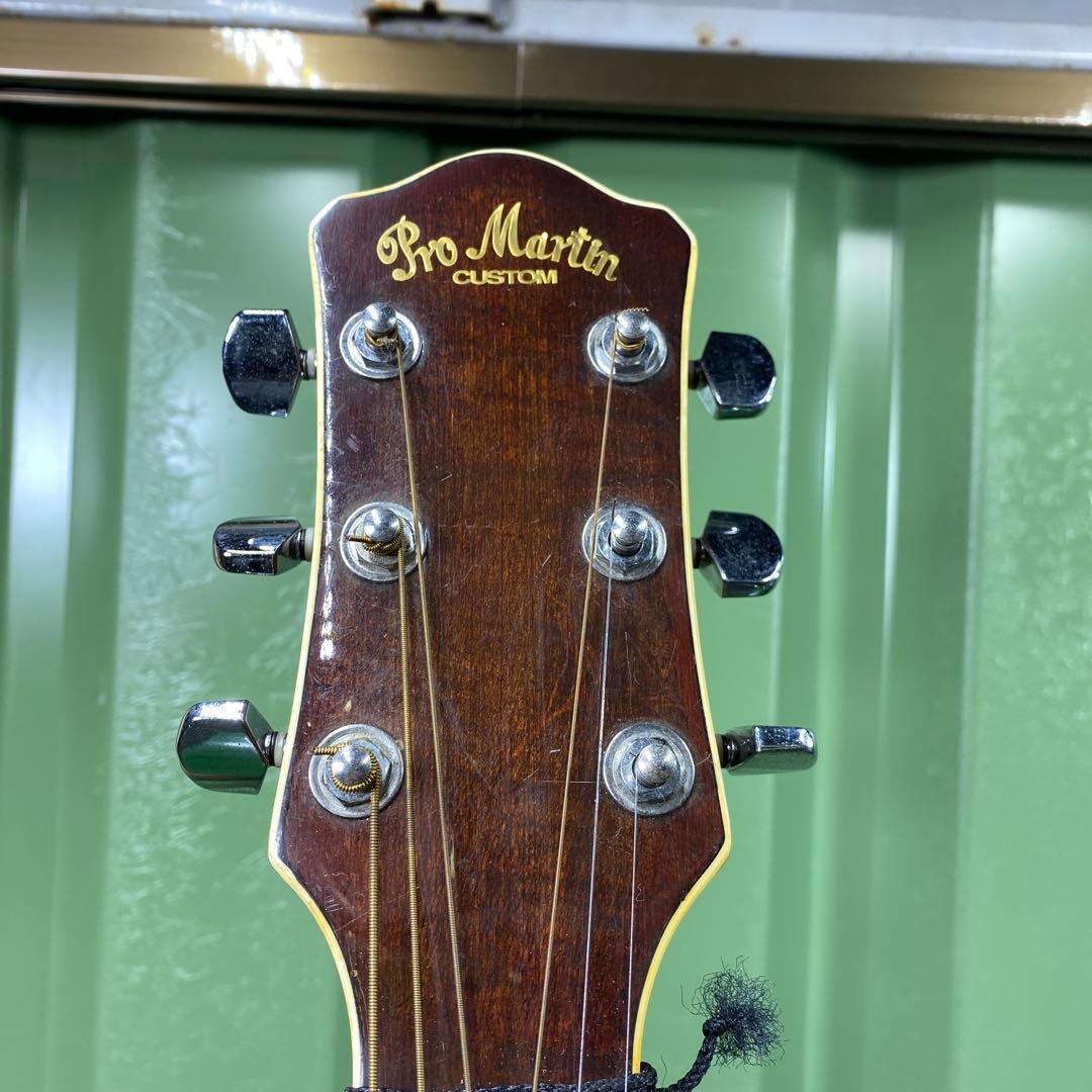 【現状品】Pro Martin EA500W VS アコースティックギター