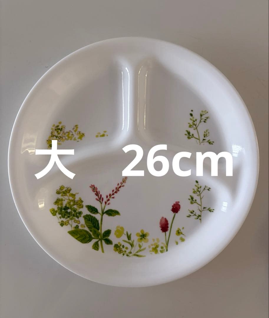 コレール　プロバンスガーデン　ランチプレート４枚セット（大✖️2 ・小✖️2）