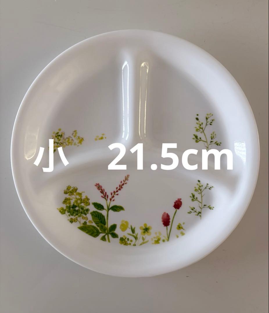 コレール　プロバンスガーデン　ランチプレート４枚セット（大✖️2 ・小✖️2）