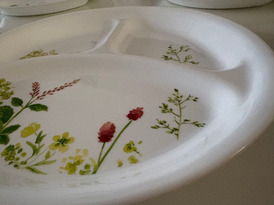 コレール　プロバンスガーデン　ランチプレート４枚セット（大✖️2 ・小✖️2）