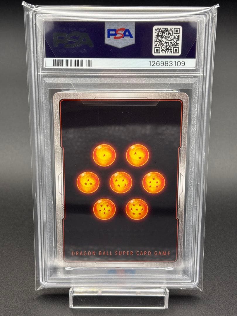 よ*ん様 2025 DBS FW SB01 JP チチ オルタネートアート PS