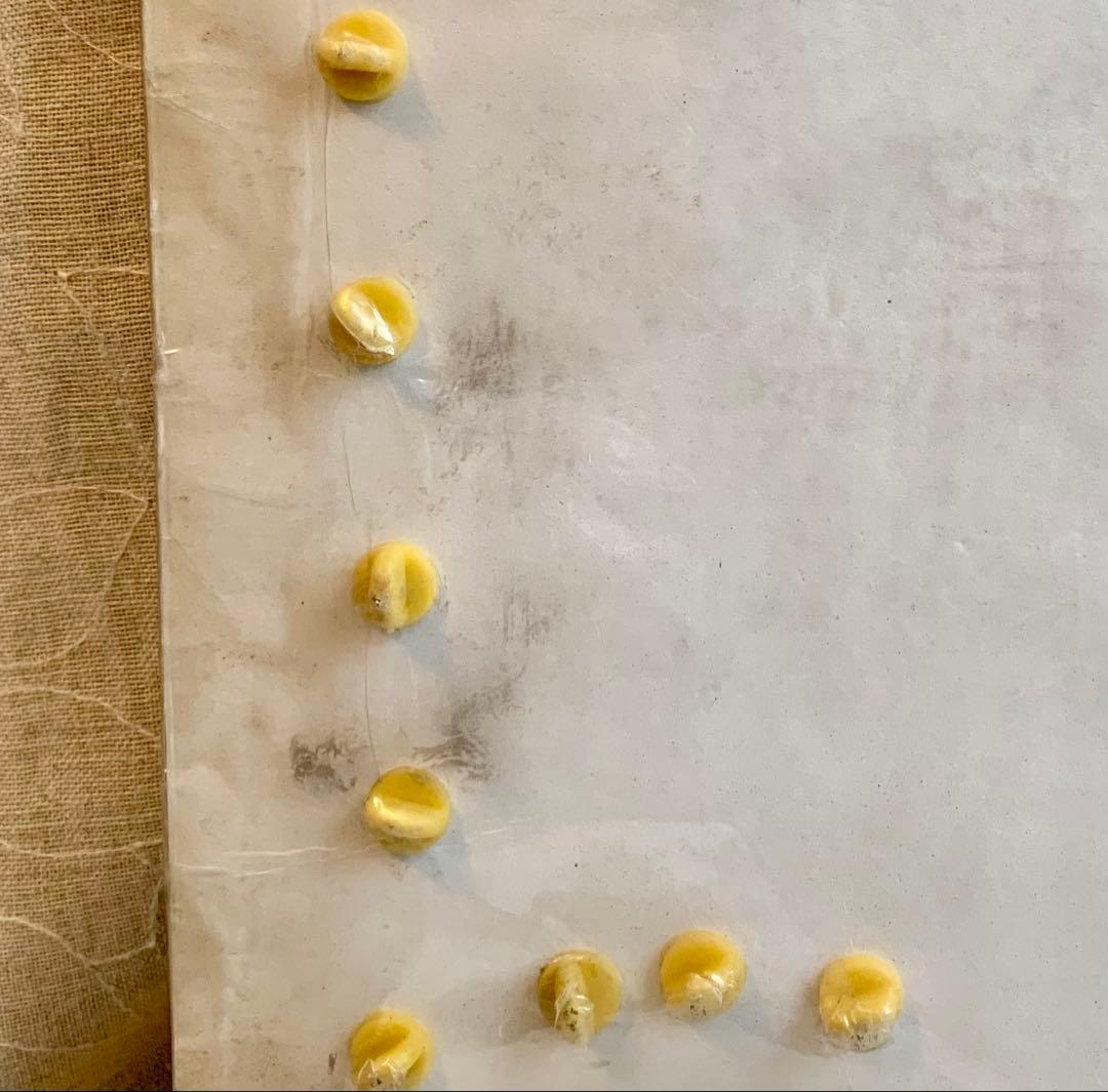 アメリカ軍ベトナム派遣部隊ピンバッジ