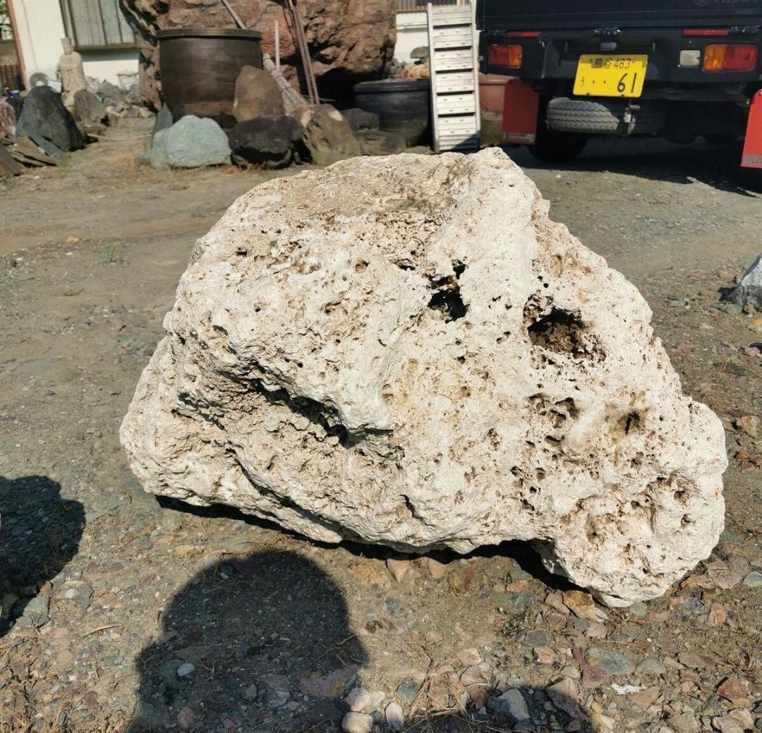 サンゴ石　170キロ　庭石　石　鑑賞石 石材　庭　ガーデニング　置物