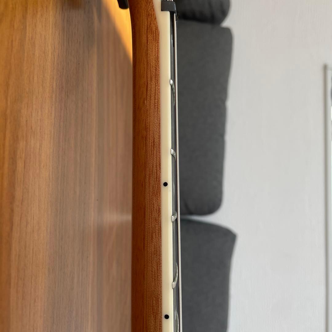 PRS SE Zach Myers 良木目　美品